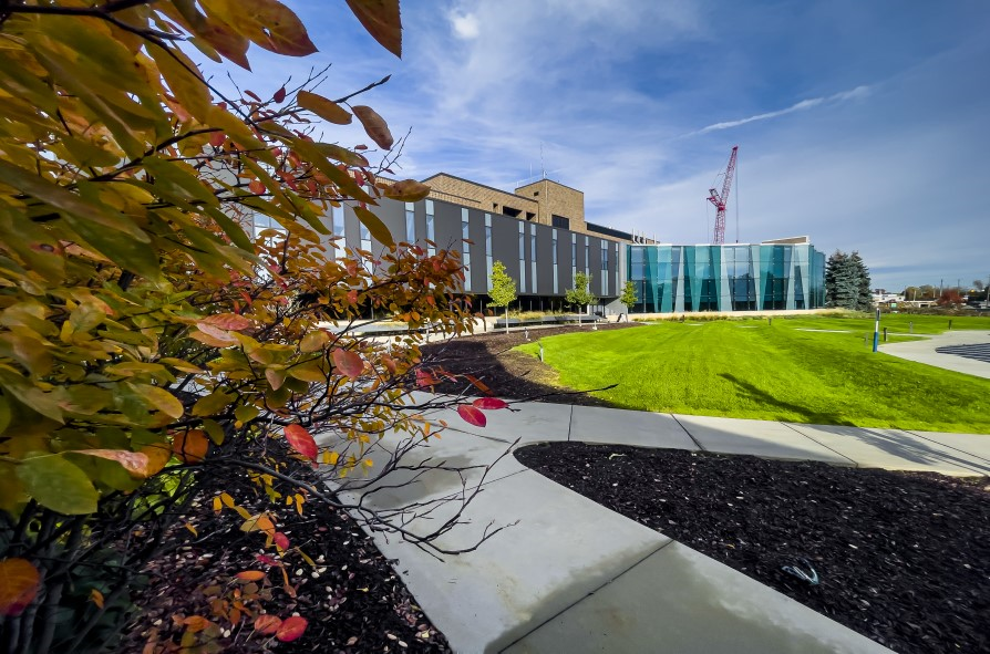 LCC's Gannon building sits in the background a tree with fall leaves is captured in front of it