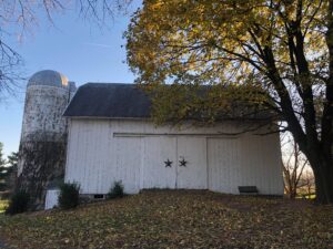 Old white barn with a blue sky background and big tree with yellow leaves in front. 