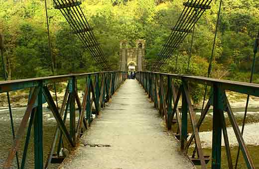 Outdoor wooden bridge surrounded by green trees.