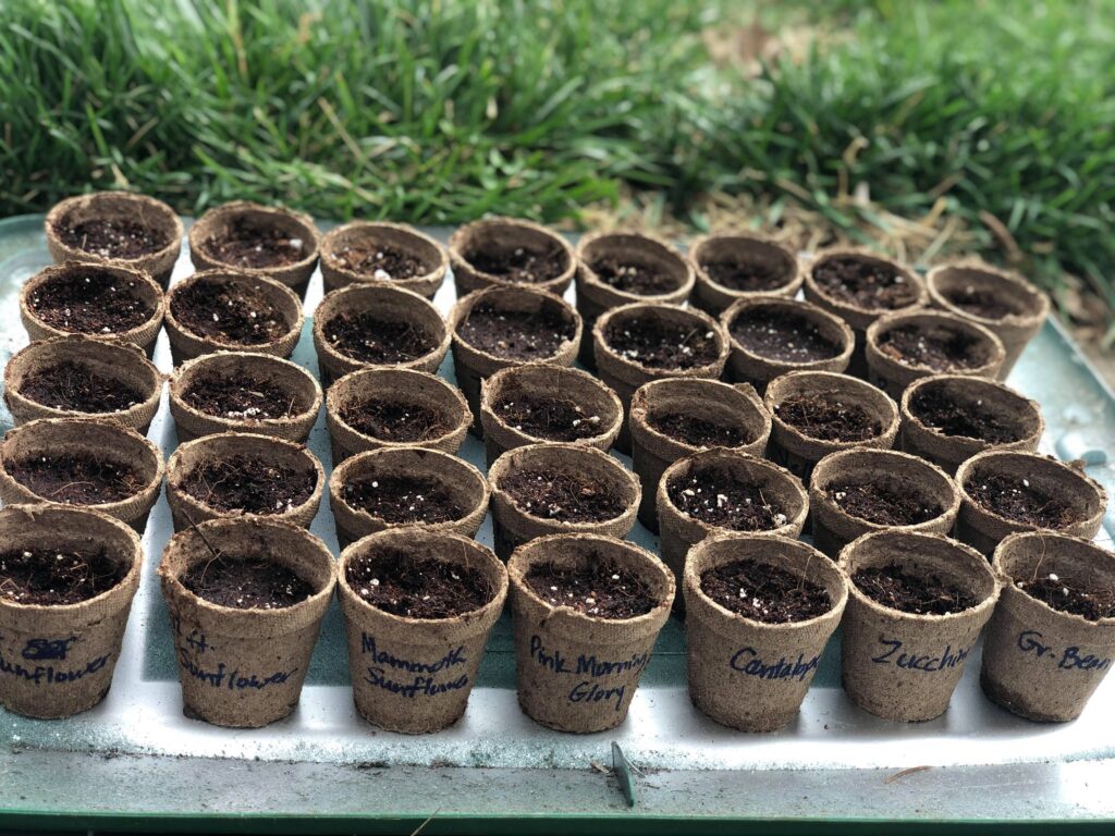 Small, brown garden pots for planting seeds